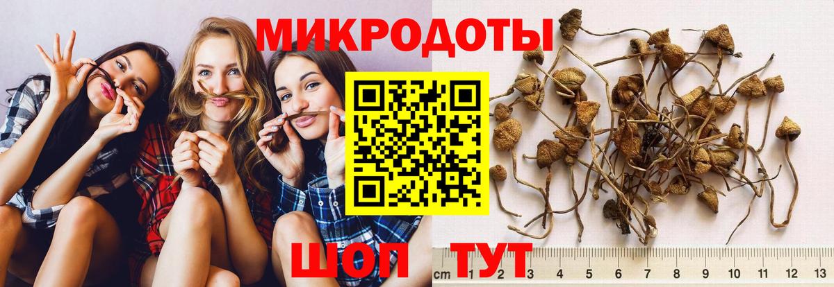 Псилоцибиновые грибы мухоморы Лесосибирск